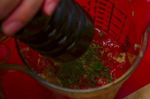 Putenschnitzel in Tomatensoße mit Mozarella_05